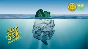 GSI Reduce Plastic Waste